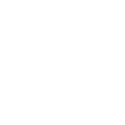 l1